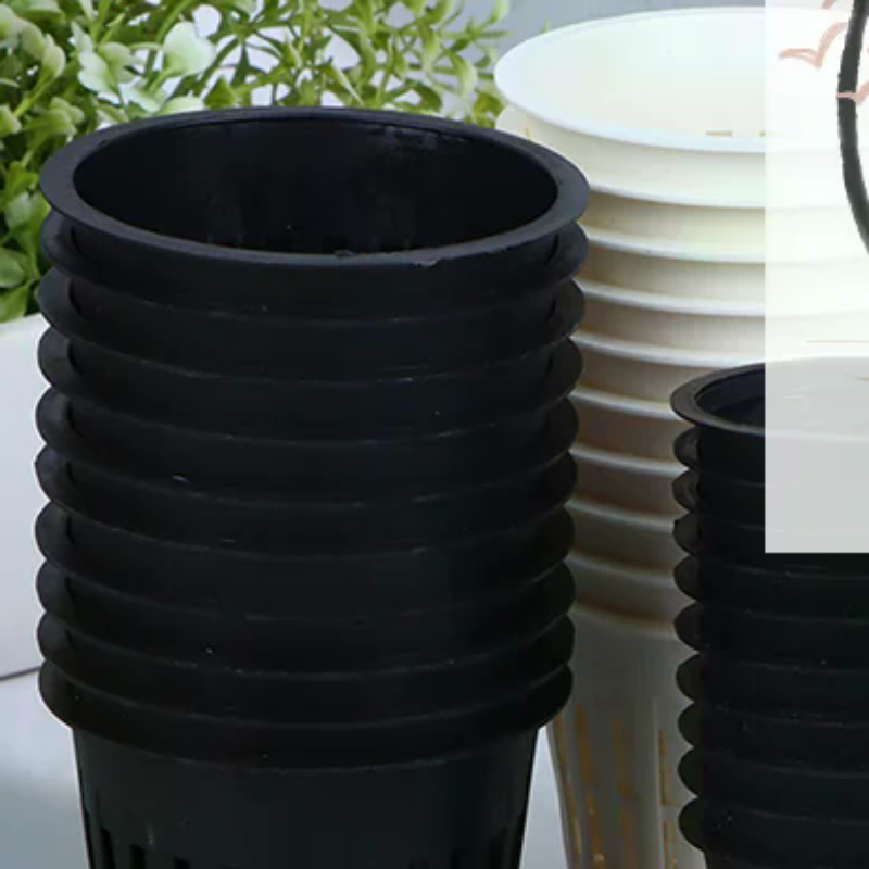 10Pcs 2 Inch 3 Inch Grow Orchi - Net Pot 3 Inch บทวิจารณ์และราคา