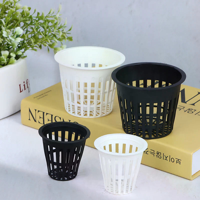 10Pcs 2 Inch 3 Inch Grow Orchi - Net Pot 3 Inch บทวิจารณ์และราคา