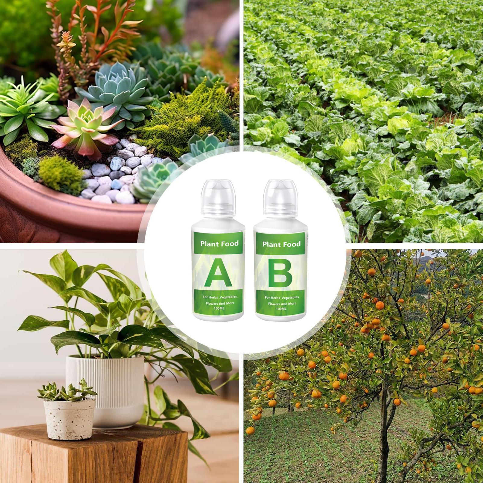 Hydroponic Nutrients Fertilize - Nutrient Solution Ab บทวิจารณ์และราคา