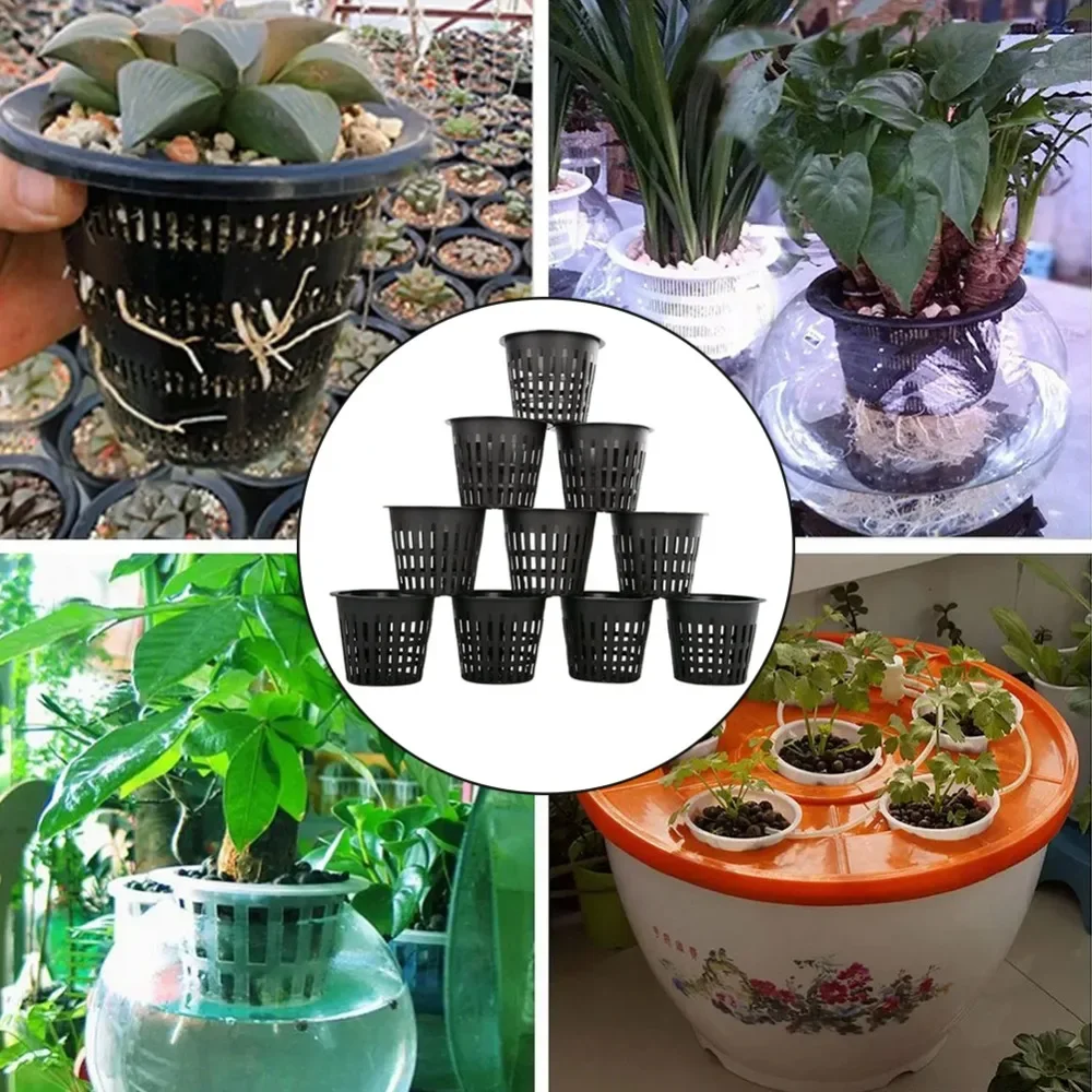 10pcs Black 3 Inch Nursery Pot - Net Pot 3 Inch บทวิจารณ์และราคา