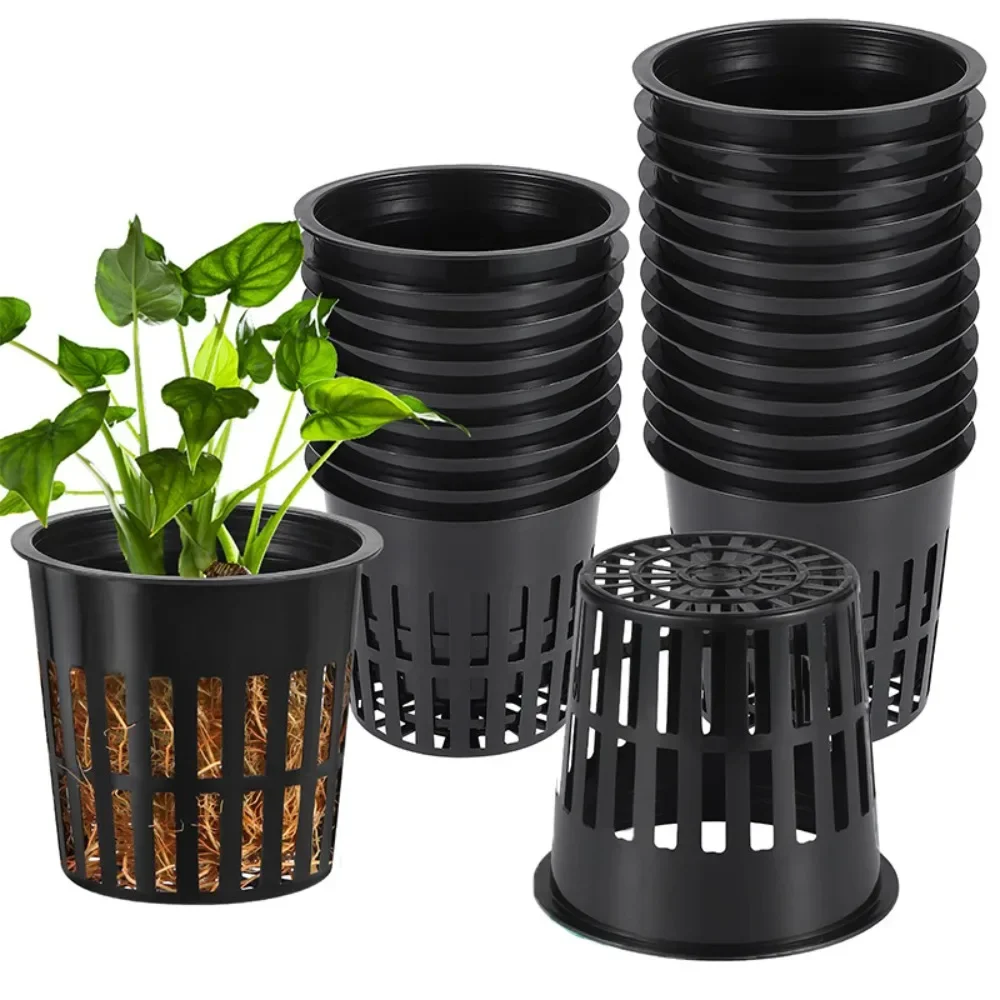 10pcs Black 3 Inch Nursery Pot - Net Pot 3 Inch บทวิจารณ์และราคา
