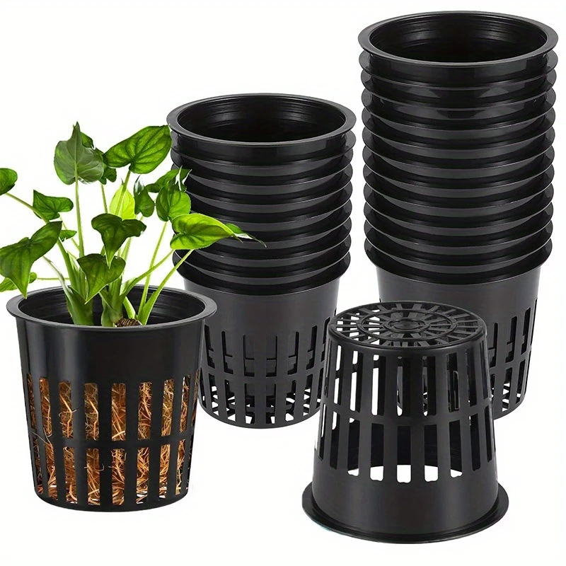 12Pcs Plastic Hydroponic Net P - Net Pot 3 Inch บทวิจารณ์และราคา