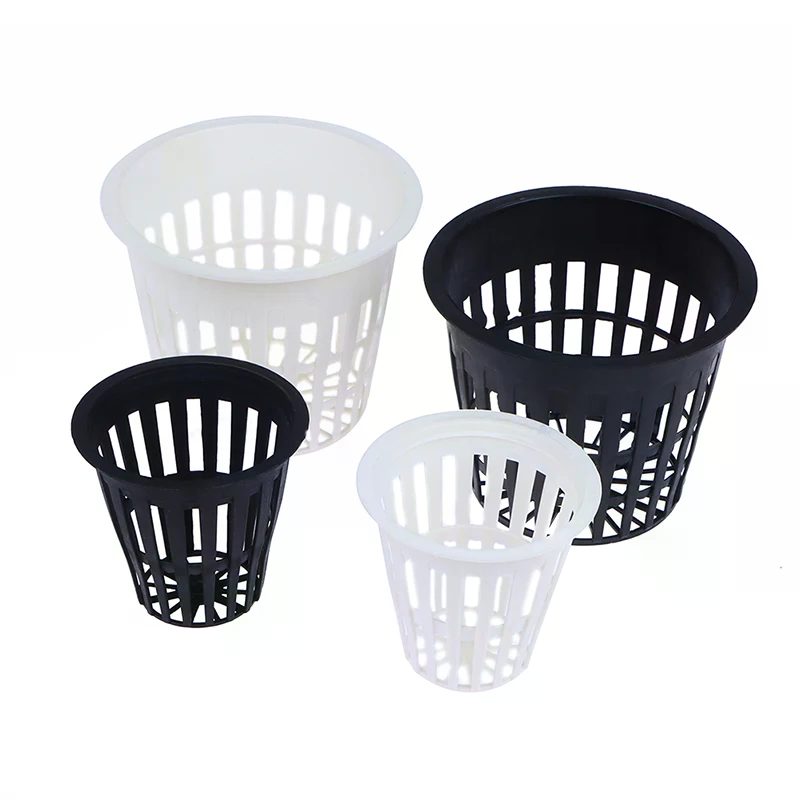 10pc 2 Inch 3 Inch Grow Orchid - Net Pot 3 Inch บทวิจารณ์และราคา