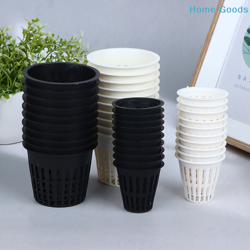 preferred10Pcs 2 Inch 3 Inch G - Net Pot 3 Inch บทวิจารณ์และราคา