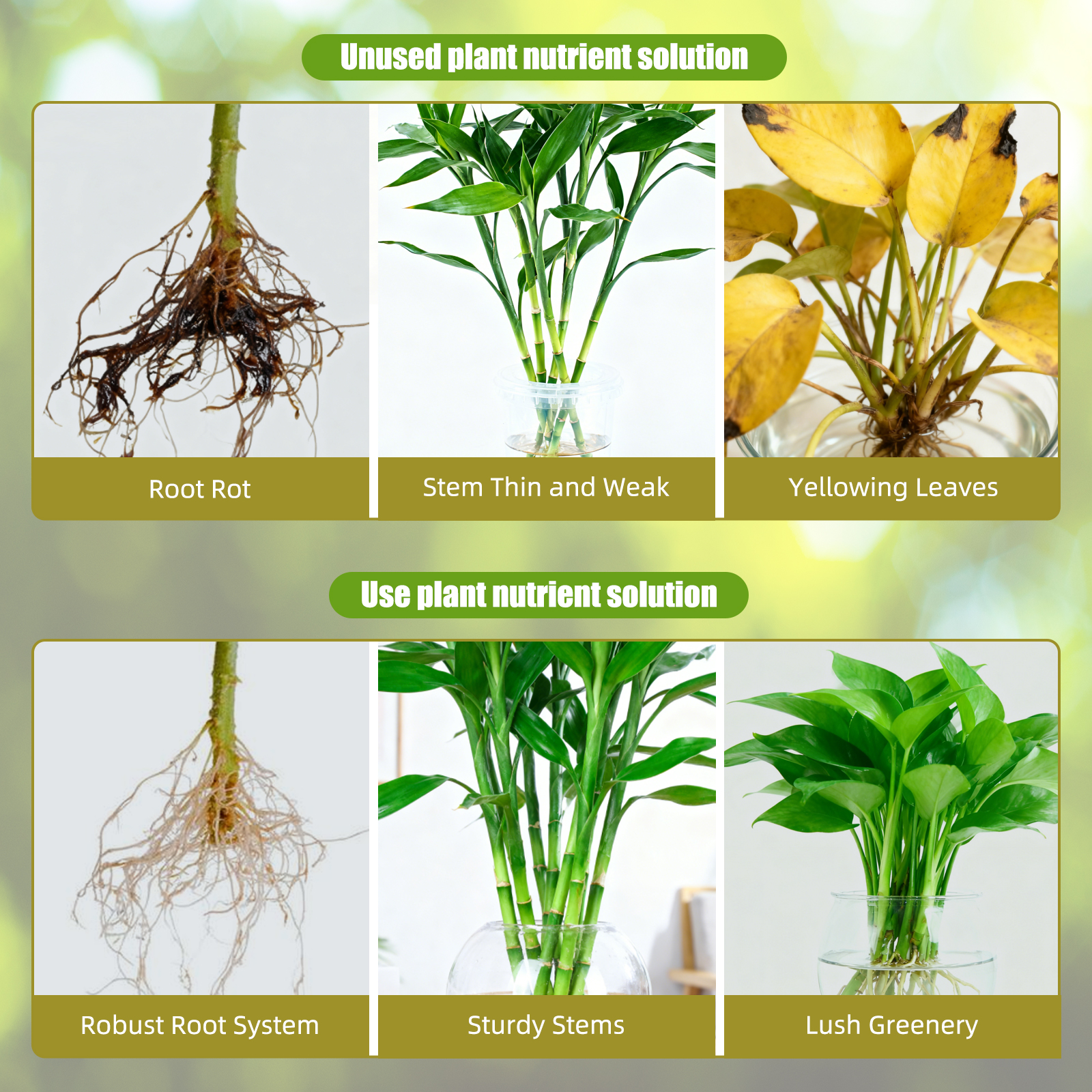 Hydroponic Nutrient Solution A - Nutrient Solution Ab บทวิจารณ์และราคา