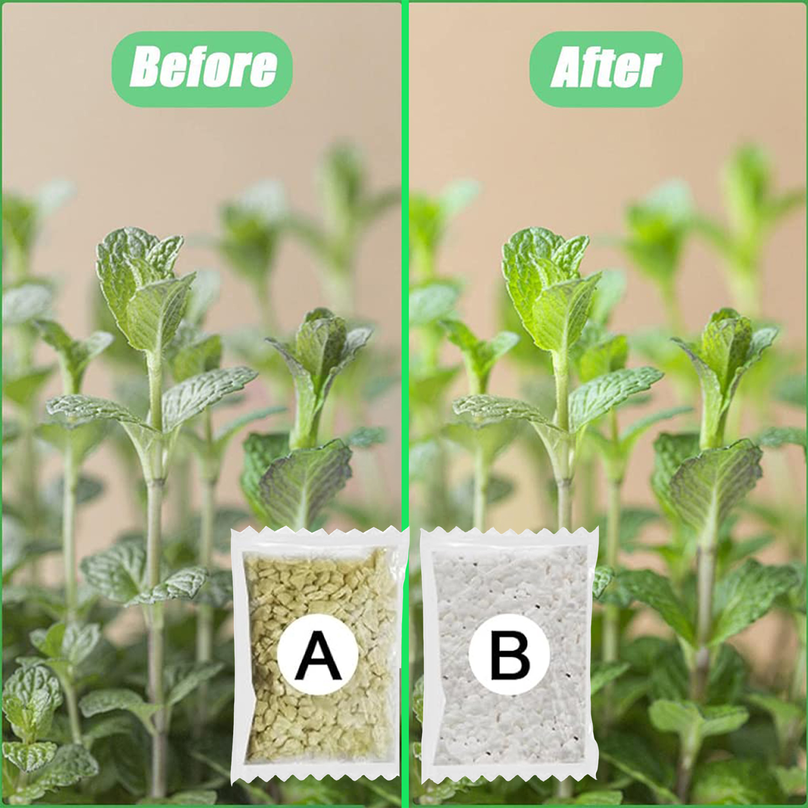 Hydroponic Nutrients Fertilize - Nutrient Solution Ab บทวิจารณ์และราคา