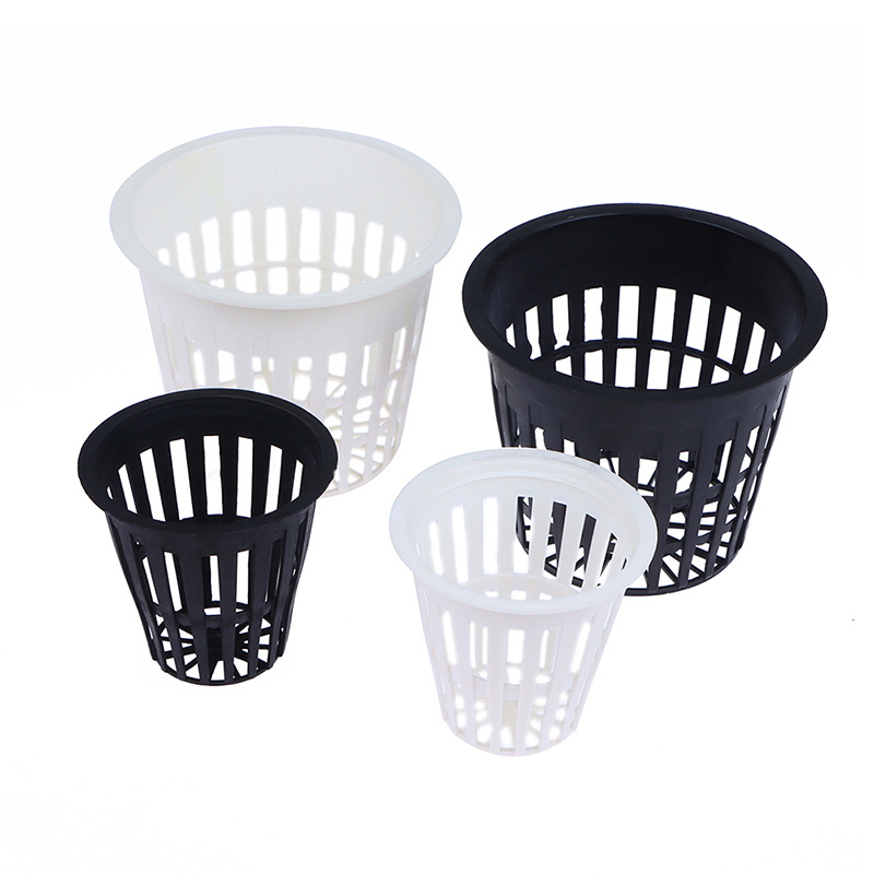10PCS 2/3 Inch Grow Orchids Hy - Net Pot 3 Inch บทวิจารณ์และราคา