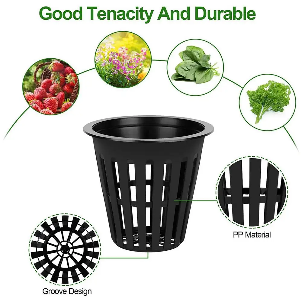 10pcs 3 Inch Hydroponics Cups  - Net Pot 3 Inch บทวิจารณ์และราคา