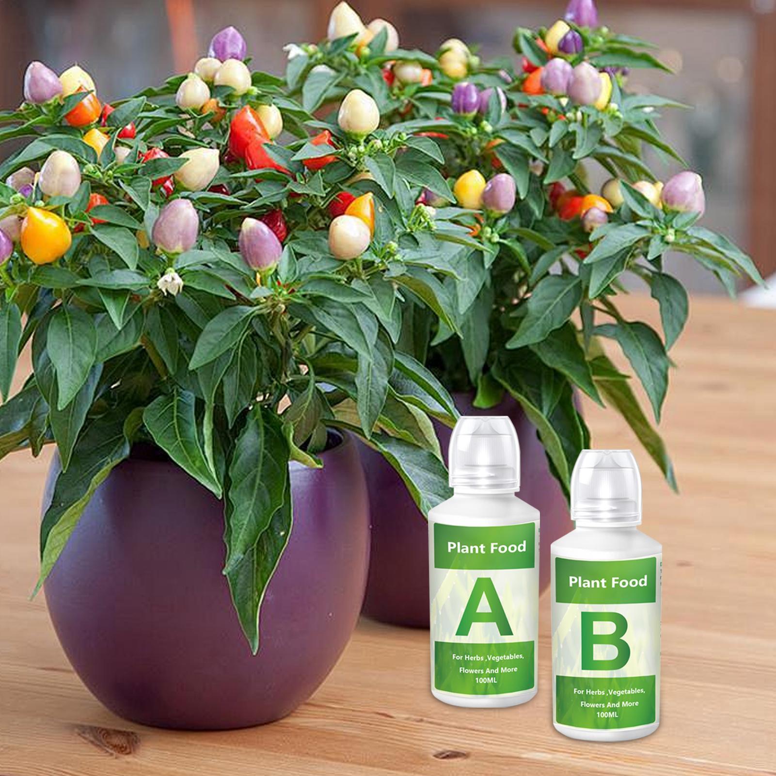 Hydroponic Nutrients Fertilize - Nutrient Solution Ab บทวิจารณ์และราคา