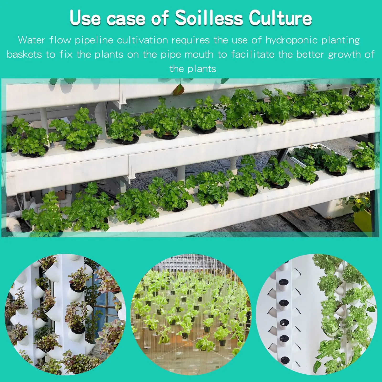10PCS 3 Inch Hydroponics Cups  - Net Pot 3 Inch บทวิจารณ์และราคา